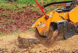 Best Arborist Consultation Services  in Ilco, WA